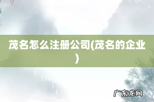 茂名的企业 茂名怎么注册公司