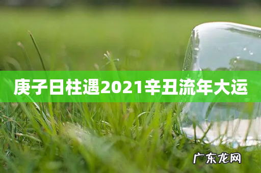 庚子日柱遇2021辛丑流年大运