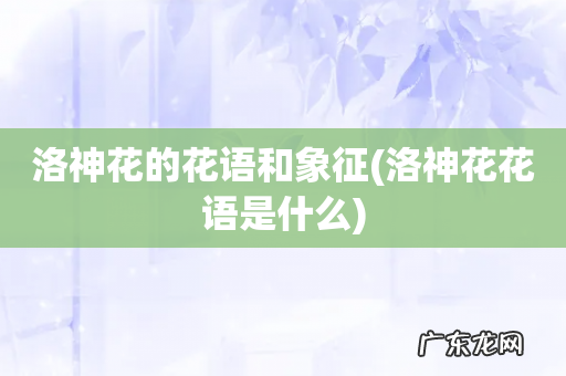 洛神花花语是什么 洛神花的花语和象征