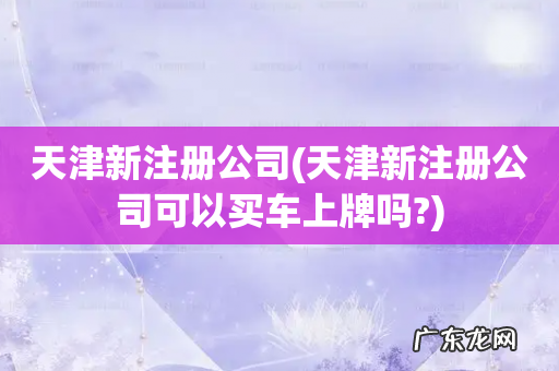 天津新注册公司可以买车上牌吗? 天津新注册公司