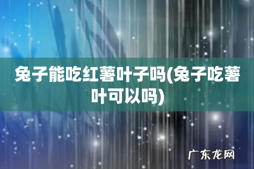 兔子吃薯叶可以吗 兔子能吃红薯叶子吗