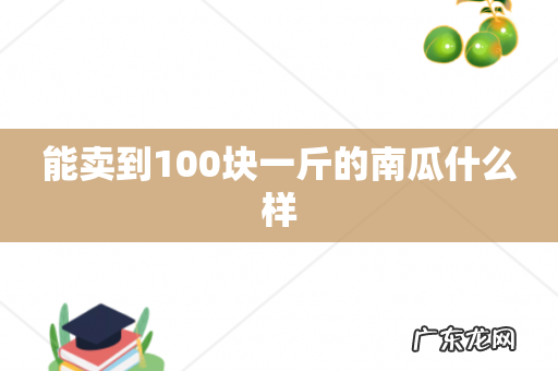能卖到100块一斤的南瓜什么样
