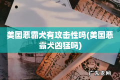 美国恶霸犬凶猛吗 美国恶霸犬有攻击性吗
