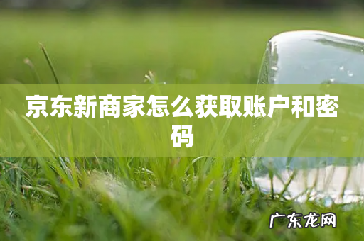 京东新商家怎么获取账户和密码