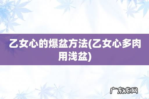 乙女心多肉用浅盆 乙女心的爆盆方法