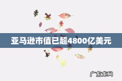 亚马逊市值已超4800亿美元