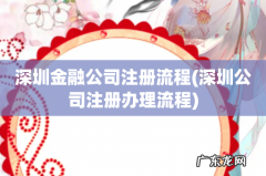 深圳公司注册办理流程 深圳金融公司注册流程