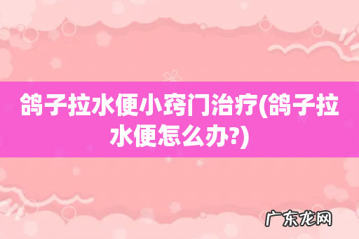 鸽子拉水便怎么办? 鸽子拉水便小窍门治疗