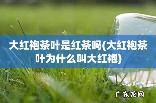 大红袍茶叶为什么叫大红袍 大红袍茶叶是红茶吗