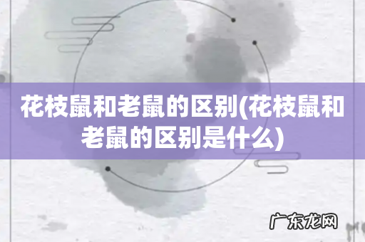 花枝鼠和老鼠的区别是什么 花枝鼠和老鼠的区别