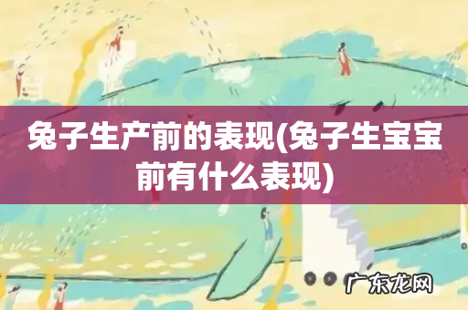 兔子生宝宝前有什么表现 兔子生产前的表现