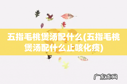 五指毛桃煲汤配什么止咳化痰 五指毛桃煲汤配什么