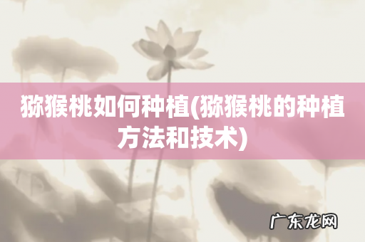 猕猴桃的种植方法和技术 猕猴桃如何种植