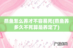 燕鱼养多久不死算是养定了 燕鱼怎么养才不容易死