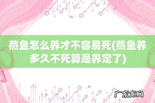 燕鱼养多久不死算是养定了 燕鱼怎么养才不容易死