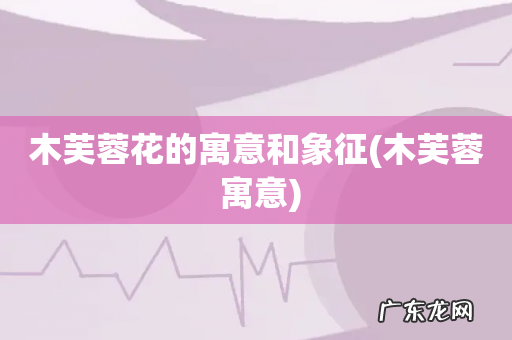 木芙蓉 寓意 木芙蓉花的寓意和象征