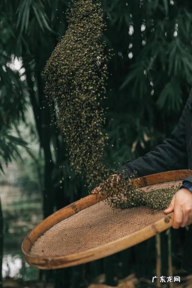 四川话抵拢倒拐 抵拢倒拐什么意思