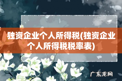 独资企业个人所得税税率表 独资企业个人所得税