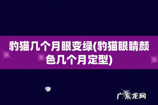 豹猫眼睛颜色几个月定型 豹猫几个月眼变绿