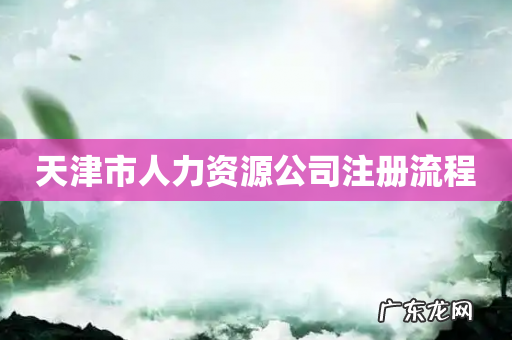天津市人力资源公司注册流程