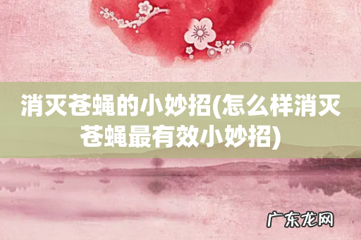 怎么样消灭苍蝇最有效小妙招 消灭苍蝇的小妙招