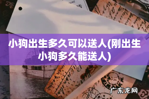 刚出生小狗多久能送人 小狗出生多久可以送人