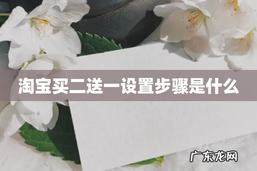 淘宝买二送一设置步骤是什么