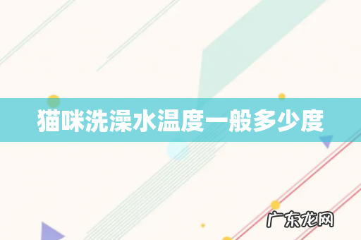 猫咪洗澡水温度一般多少度