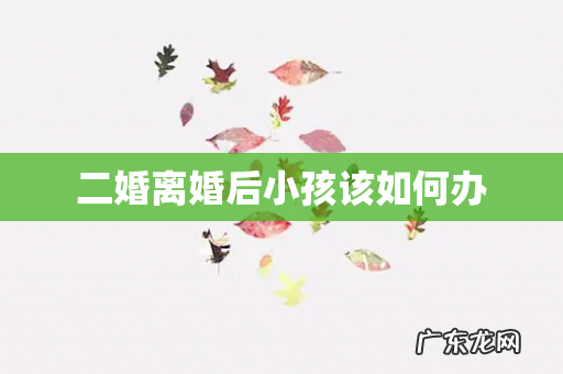 二婚离婚后小孩该如何办