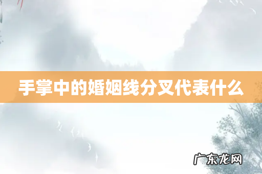 手掌中的婚姻线分叉代表什么