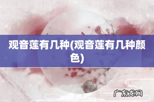 观音莲有几种颜色 观音莲有几种