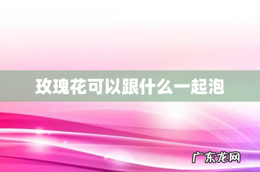 玫瑰花可以跟什么一起泡