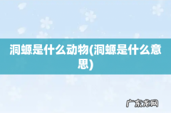 洞螈是什么意思 洞螈是什么动物