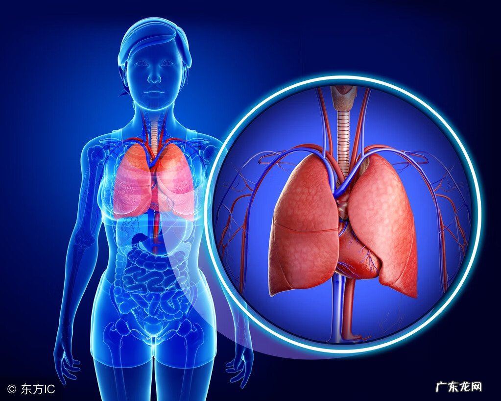 马蹄的功效和作用及食用方法 马蹄的功效与作用禁忌