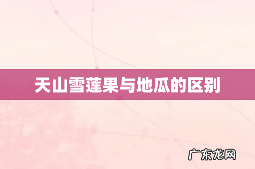 天山雪莲果与地瓜的区别