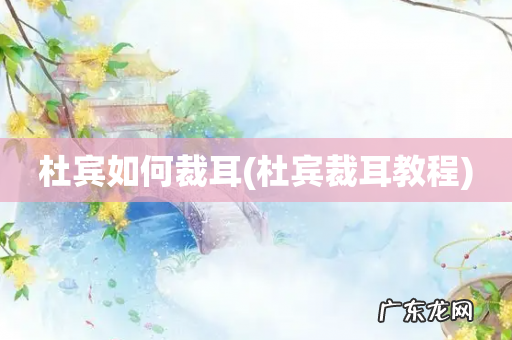 杜宾裁耳教程 杜宾如何裁耳