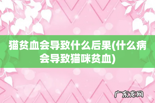 什么病会导致猫咪贫血 猫贫血会导致什么后果