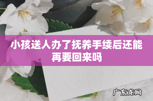 小孩送人办了抚养手续后还能再要回来吗