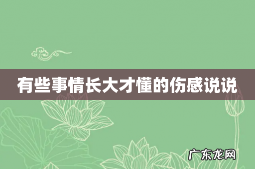 有些事情长大才懂的伤感说说