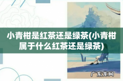 小青柑属于什么红茶还是绿茶 小青柑是红茶还是绿茶