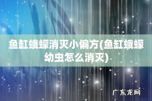 鱼缸蛾蠓幼虫怎么消灭 鱼缸蛾蠓消灭小偏方