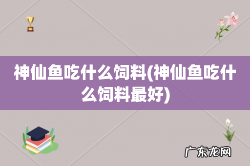 神仙鱼吃什么饲料最好 神仙鱼吃什么饲料