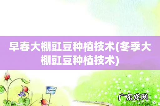 冬季大棚豇豆种植技术 早春大棚豇豆种植技术