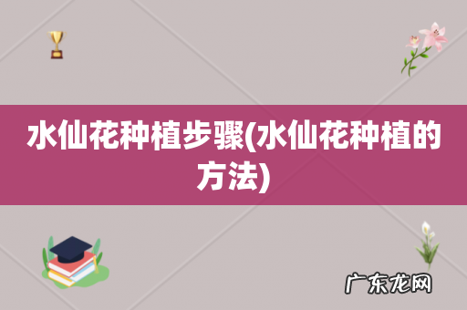 水仙花种植的方法 水仙花种植步骤