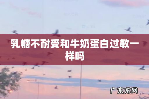 乳糖不耐受和牛奶蛋白过敏一样吗