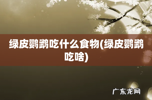 绿皮鹦鹉吃啥 绿皮鹦鹉吃什么食物