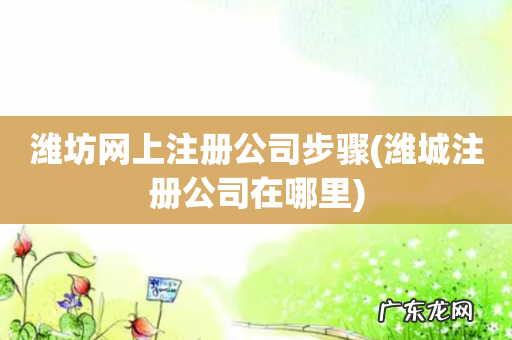 潍城注册公司在哪里 潍坊网上注册公司步骤