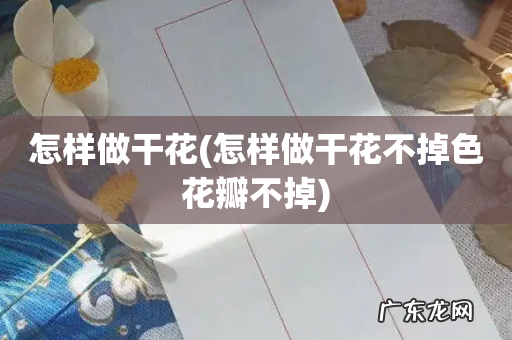 怎样做干花不掉色花瓣不掉 怎样做干花