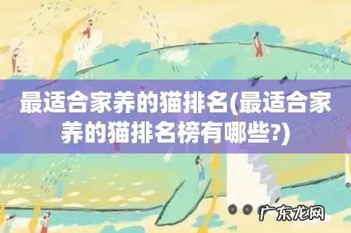 最适合家养的猫排名榜有哪些? 最适合家养的猫排名