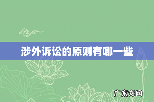 涉外诉讼的原则有哪一些